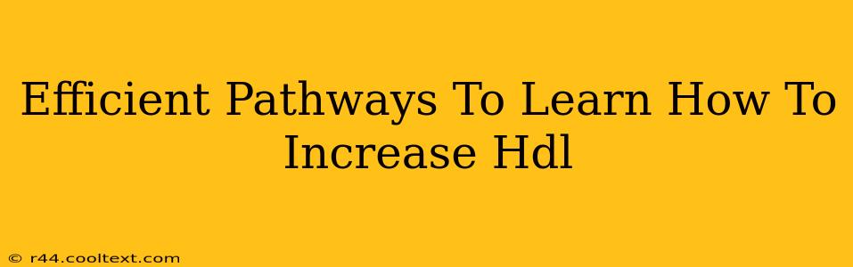 Efficient Pathways To Learn How To Increase Hdl