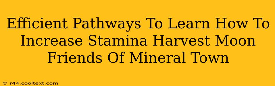 Efficient Pathways To Learn How To Increase Stamina Harvest Moon Friends Of Mineral Town