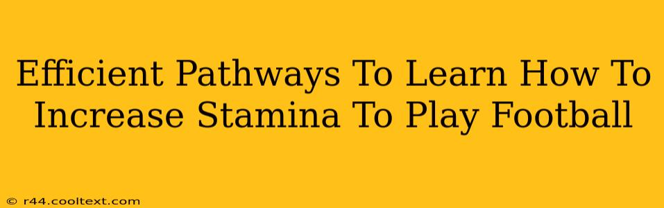 Efficient Pathways To Learn How To Increase Stamina To Play Football