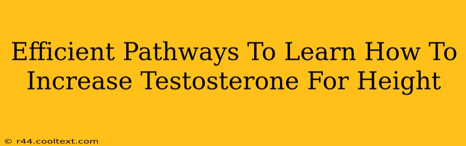 Efficient Pathways To Learn How To Increase Testosterone For Height