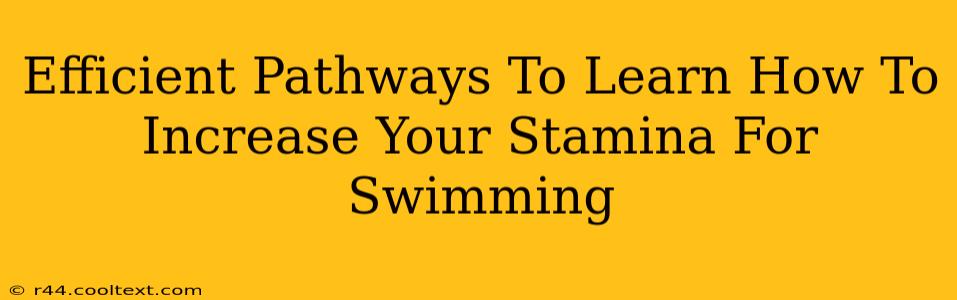 Efficient Pathways To Learn How To Increase Your Stamina For Swimming