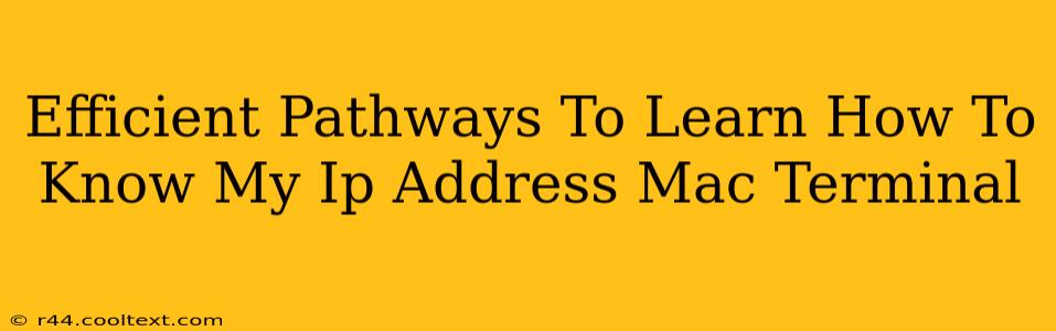 Efficient Pathways To Learn How To Know My Ip Address Mac Terminal