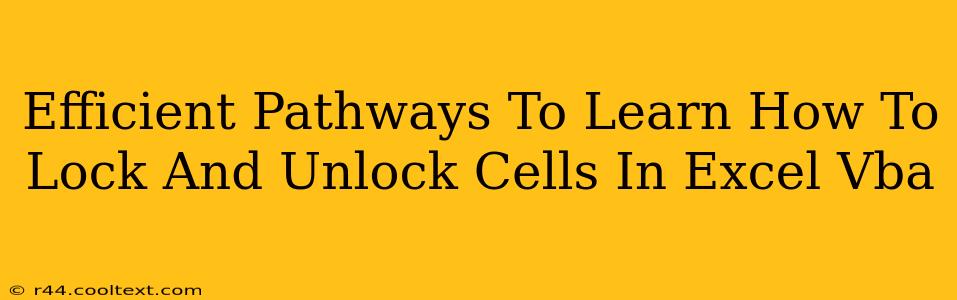 Efficient Pathways To Learn How To Lock And Unlock Cells In Excel Vba