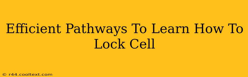 Efficient Pathways To Learn How To Lock Cell