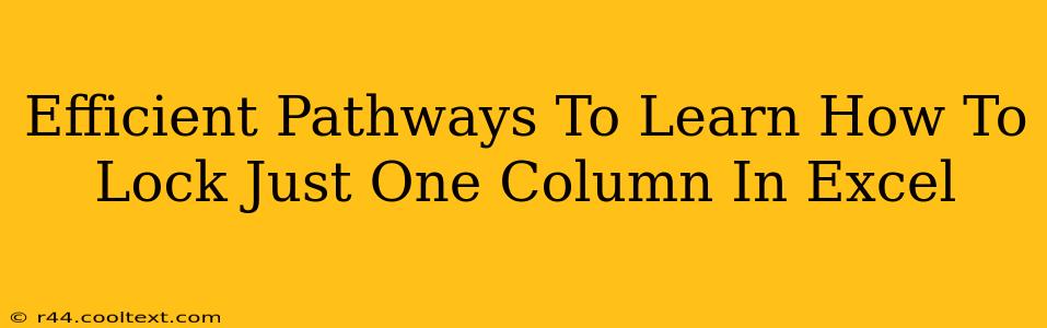 Efficient Pathways To Learn How To Lock Just One Column In Excel