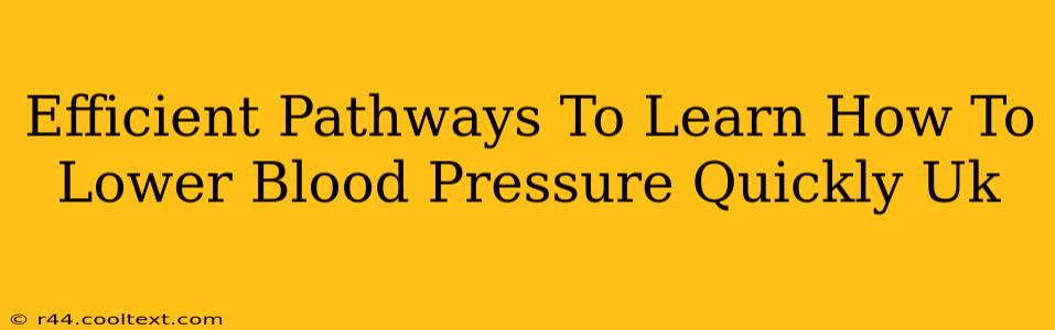 Efficient Pathways To Learn How To Lower Blood Pressure Quickly Uk