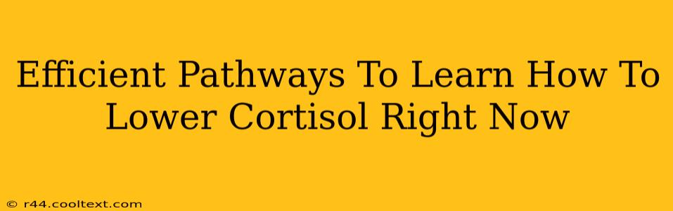 Efficient Pathways To Learn How To Lower Cortisol Right Now