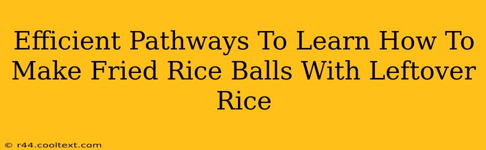 Efficient Pathways To Learn How To Make Fried Rice Balls With Leftover Rice