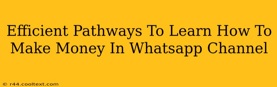 Efficient Pathways To Learn How To Make Money In Whatsapp Channel