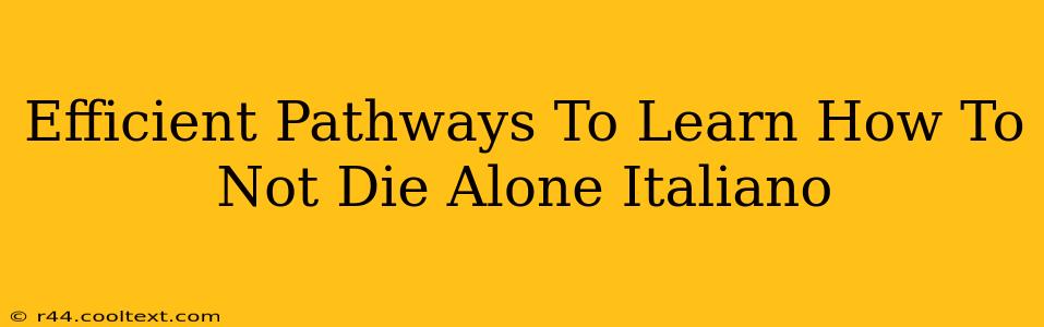 Efficient Pathways To Learn How To Not Die Alone Italiano