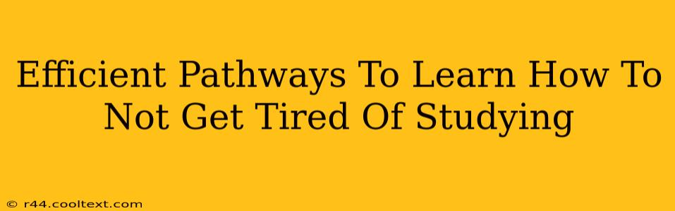 Efficient Pathways To Learn How To Not Get Tired Of Studying