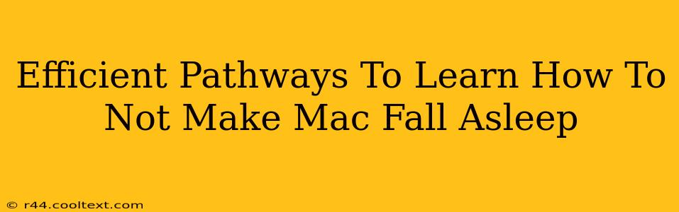 Efficient Pathways To Learn How To Not Make Mac Fall Asleep