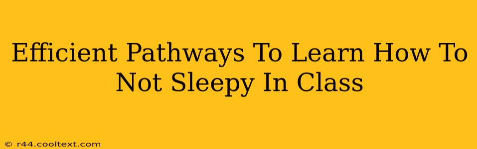 Efficient Pathways To Learn How To Not Sleepy In Class