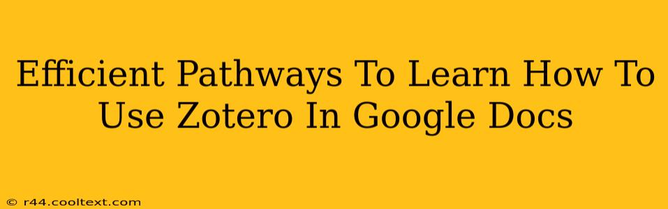 Efficient Pathways To Learn How To Use Zotero In Google Docs