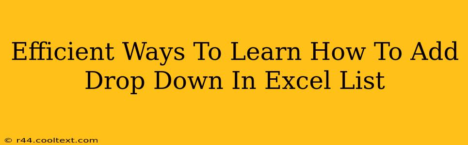 Efficient Ways To Learn How To Add Drop Down In Excel List