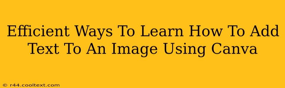 Efficient Ways To Learn How To Add Text To An Image Using Canva