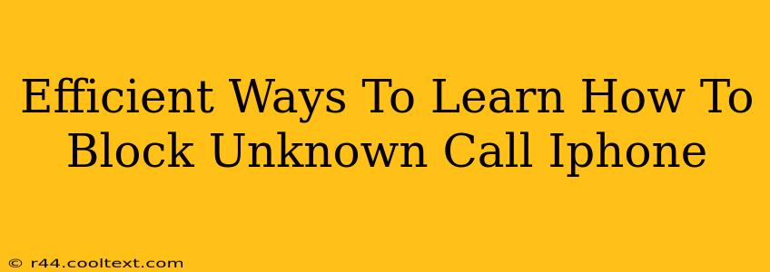 Efficient Ways To Learn How To Block Unknown Call Iphone