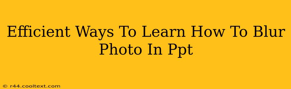 Efficient Ways To Learn How To Blur Photo In Ppt