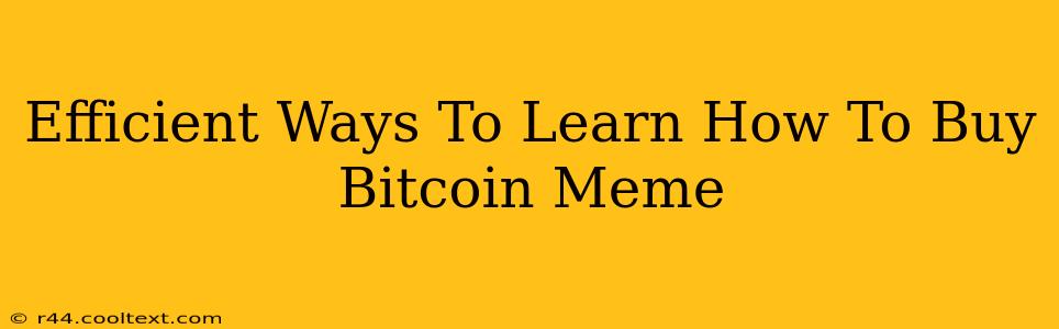 Efficient Ways To Learn How To Buy Bitcoin Meme