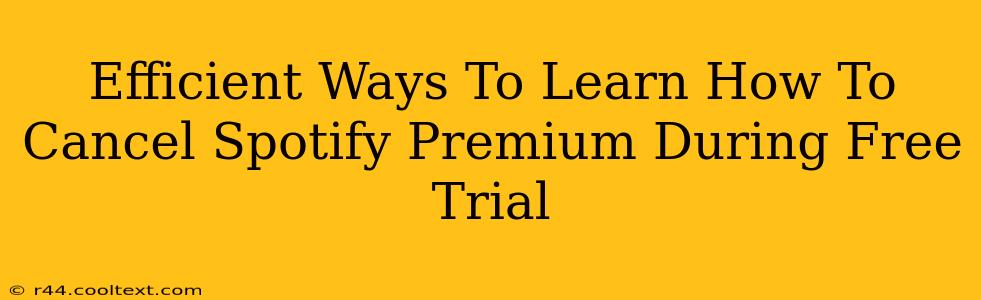 Efficient Ways To Learn How To Cancel Spotify Premium During Free Trial