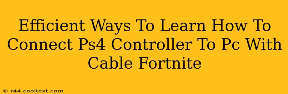 Efficient Ways To Learn How To Connect Ps4 Controller To Pc With Cable Fortnite