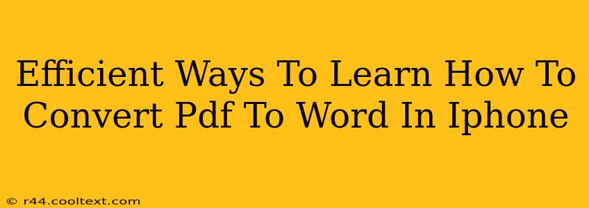 Efficient Ways To Learn How To Convert Pdf To Word In Iphone