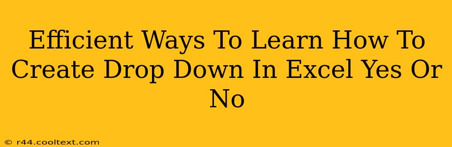 Efficient Ways To Learn How To Create Drop Down In Excel Yes Or No