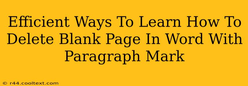 Efficient Ways To Learn How To Delete Blank Page In Word With Paragraph Mark