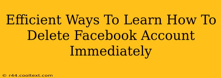 Efficient Ways To Learn How To Delete Facebook Account Immediately