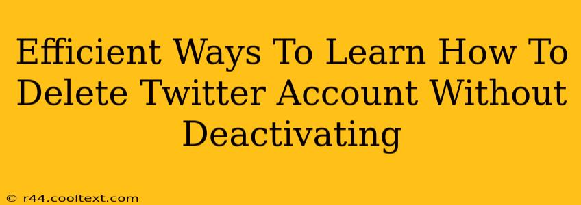 Efficient Ways To Learn How To Delete Twitter Account Without Deactivating