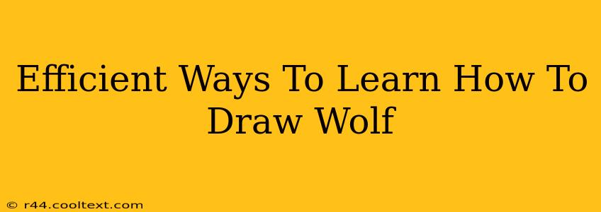 Efficient Ways To Learn How To Draw Wolf