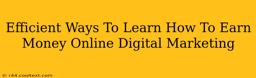 Efficient Ways To Learn How To Earn Money Online Digital Marketing