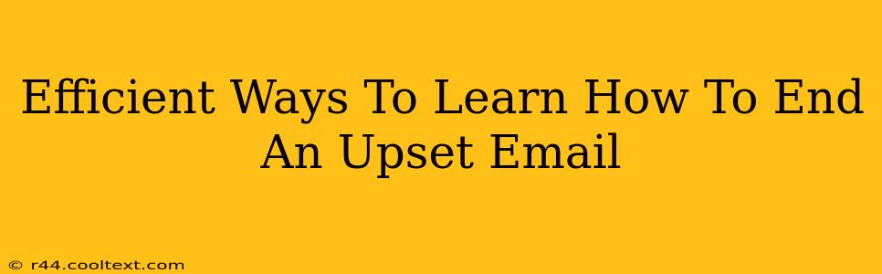 Efficient Ways To Learn How To End An Upset Email