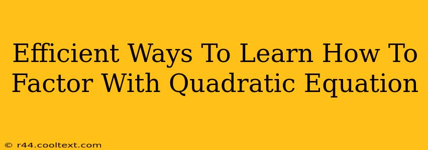 Efficient Ways To Learn How To Factor With Quadratic Equation