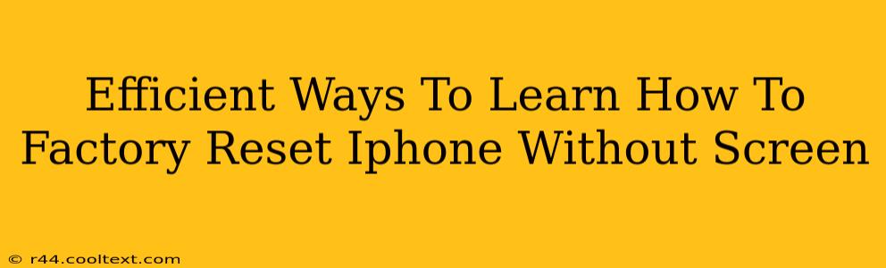 Efficient Ways To Learn How To Factory Reset Iphone Without Screen