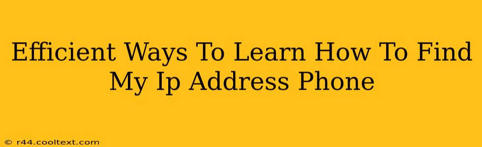 Efficient Ways To Learn How To Find My Ip Address Phone