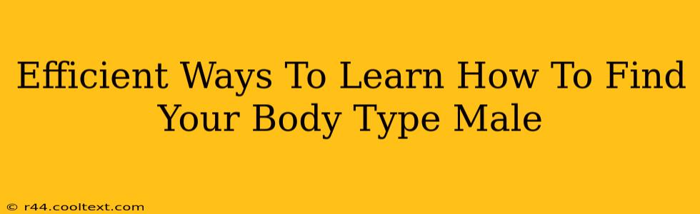 Efficient Ways To Learn How To Find Your Body Type Male