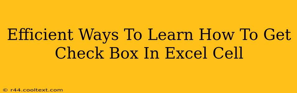 Efficient Ways To Learn How To Get Check Box In Excel Cell