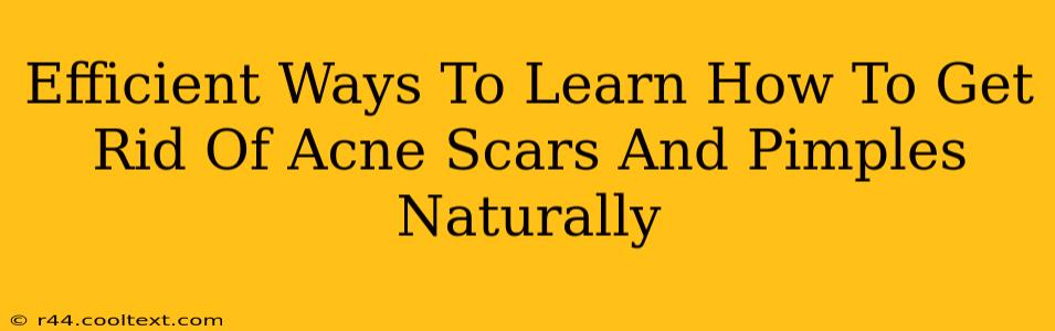 Efficient Ways To Learn How To Get Rid Of Acne Scars And Pimples Naturally