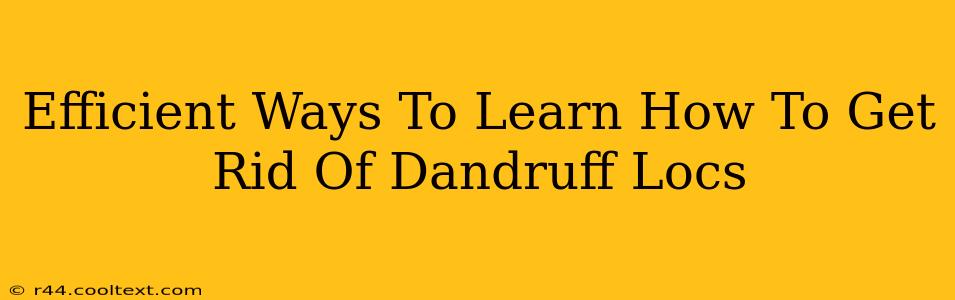 Efficient Ways To Learn How To Get Rid Of Dandruff Locs