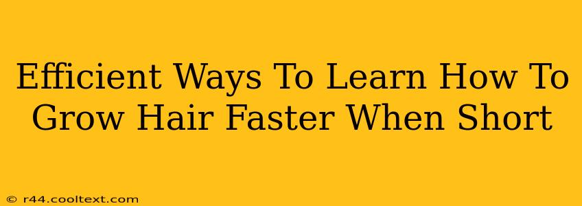 Efficient Ways To Learn How To Grow Hair Faster When Short