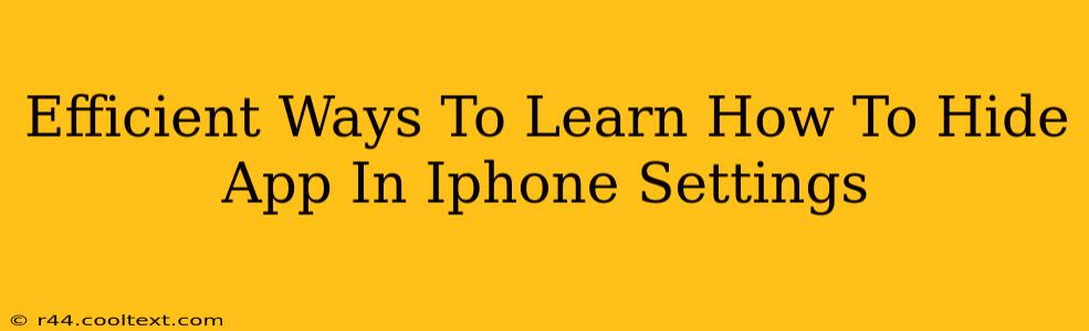 Efficient Ways To Learn How To Hide App In Iphone Settings