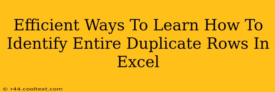 Efficient Ways To Learn How To Identify Entire Duplicate Rows In Excel