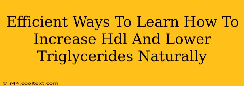 Efficient Ways To Learn How To Increase Hdl And Lower Triglycerides Naturally