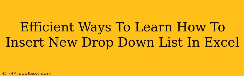 Efficient Ways To Learn How To Insert New Drop Down List In Excel