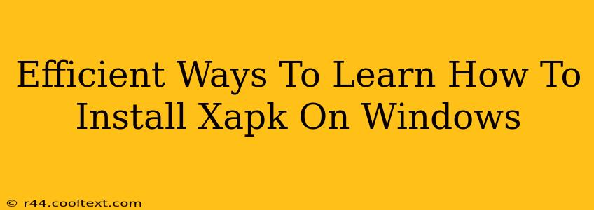 Efficient Ways To Learn How To Install Xapk On Windows