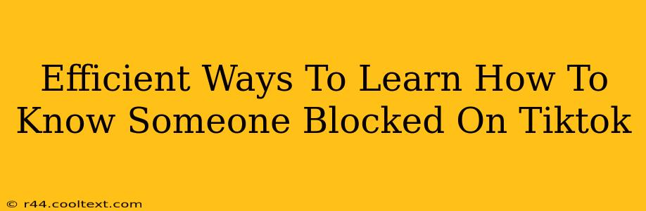 Efficient Ways To Learn How To Know Someone Blocked On Tiktok