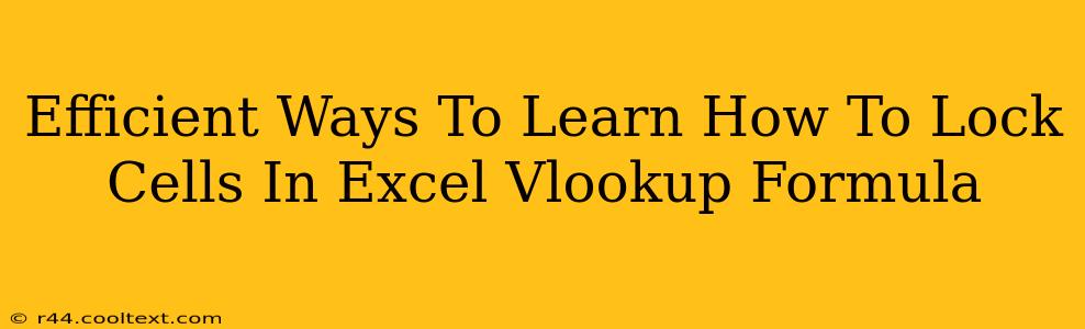 Efficient Ways To Learn How To Lock Cells In Excel Vlookup Formula