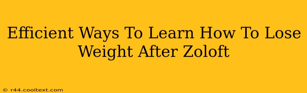 Efficient Ways To Learn How To Lose Weight After Zoloft