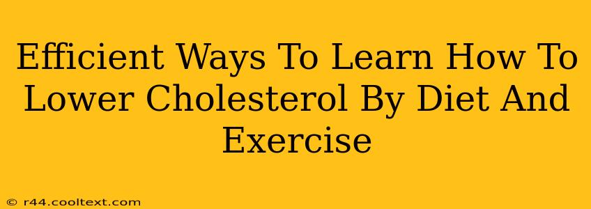 Efficient Ways To Learn How To Lower Cholesterol By Diet And Exercise